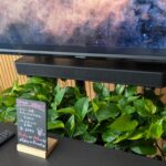 大型ディスプレイと植物とスピーカー